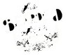 The Bearded Stitch